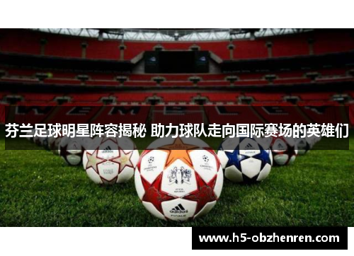 芬兰足球明星阵容揭秘 助力球队走向国际赛场的英雄们